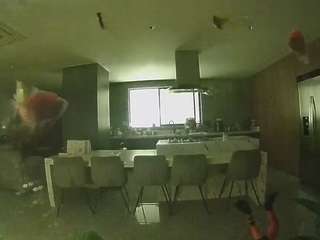 voyeurcam casa salsa fishtank